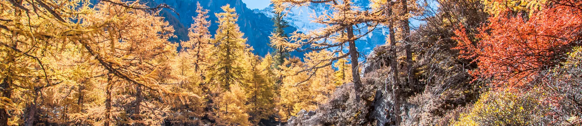 Fall Viewing Attractions