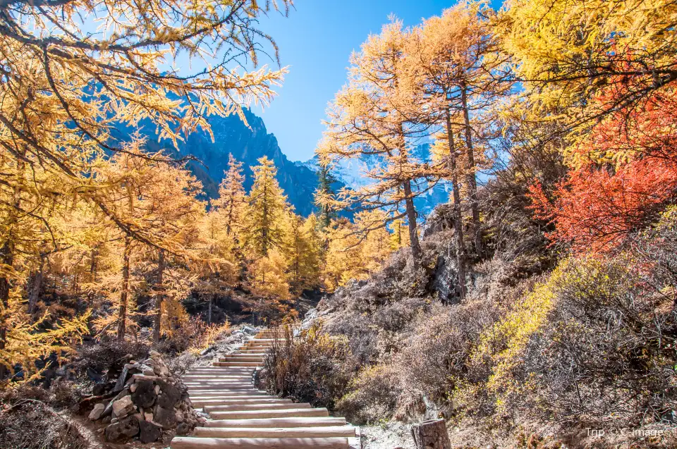 5_Daocheng Yading