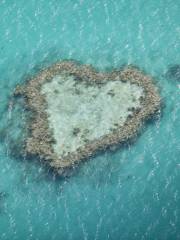 Heart Reef