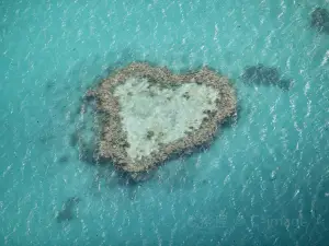 Heart Reef