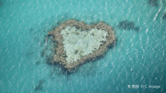 Heart Reef