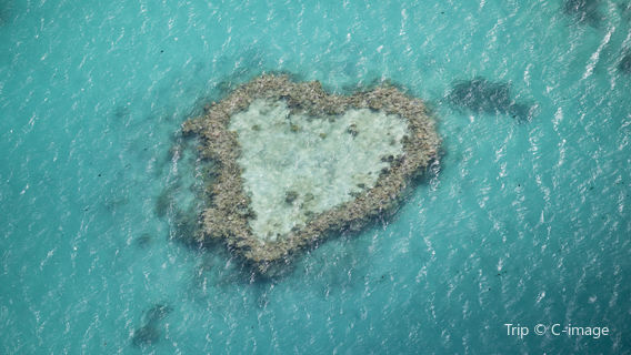 Heart Reef