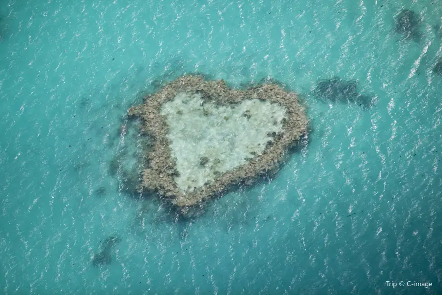 Heart Reef