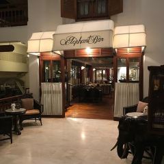 Elephant Bar User Photo