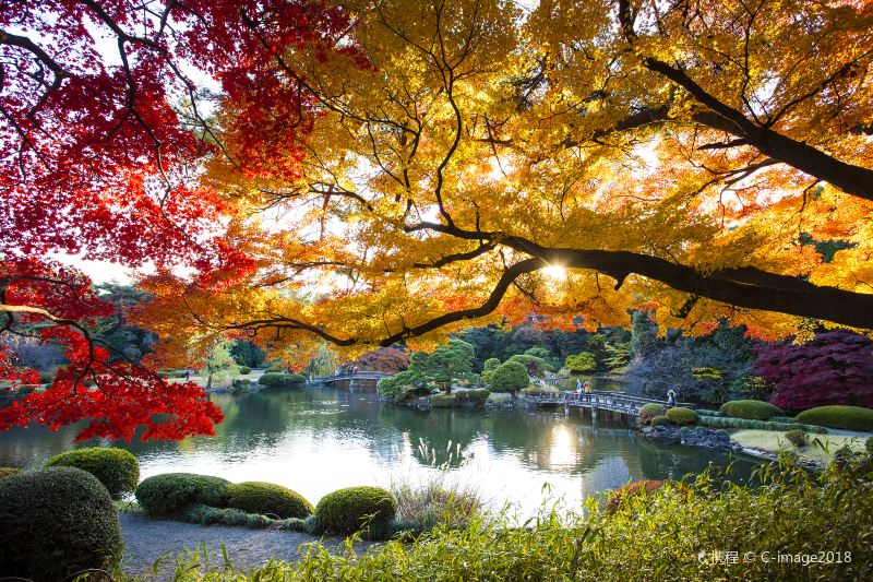 Shinjuku Gyoen National Garden