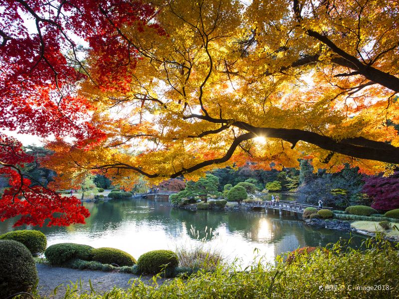 Shinjuku Gyoen National Garden