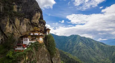 Paro