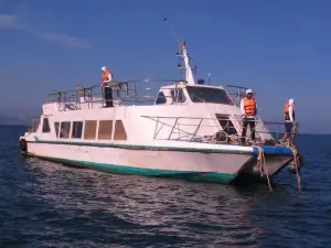 Sea Fishing in Lingshui