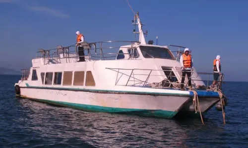 Sea Angling in Lingshui