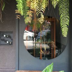 Flowers in the Window User Photo