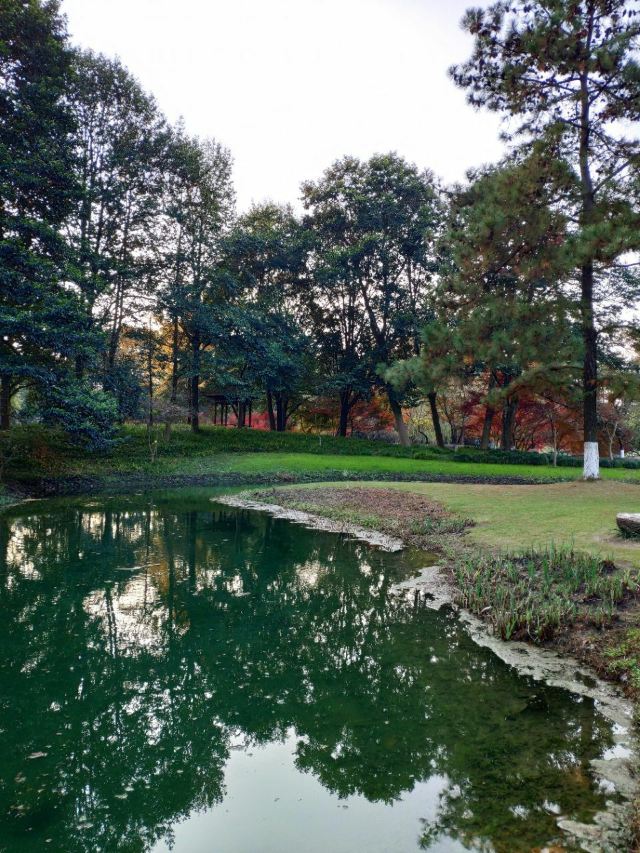 太子灣公園