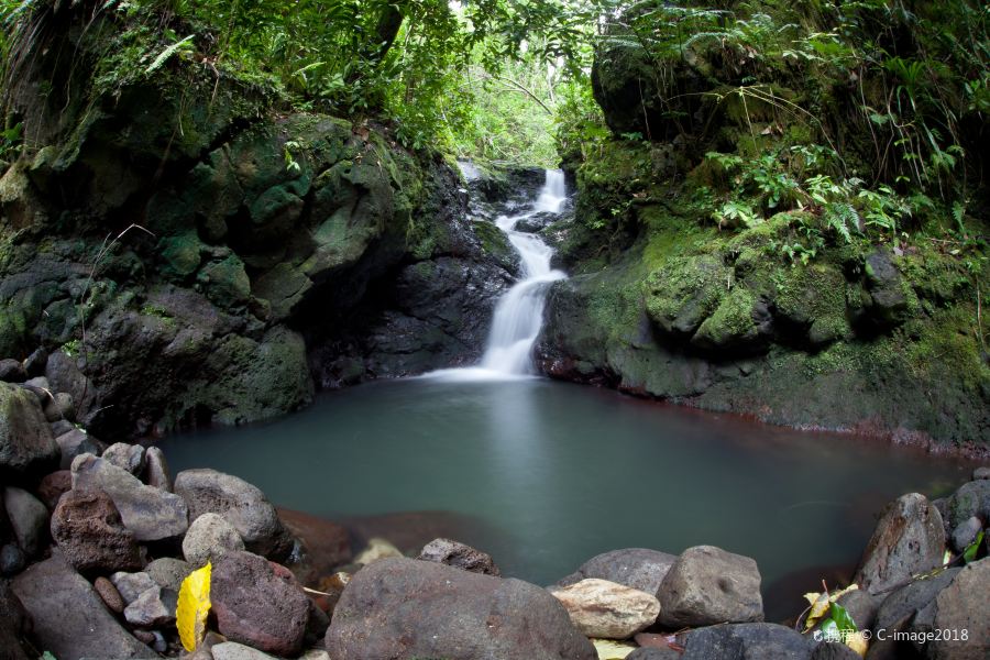 Vilnius to Raiatea Flights