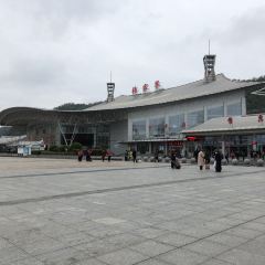 波叔草帽面張用戶圖片