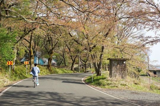 Kaizu Osaki