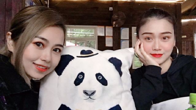 成都大熊貓繁育基地+三星堆博物館/2-8人團/含門票上門接送