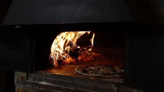 Valensole + Moustiers-Sainte-Marie + Verdon Regional Natural Park + Sainte-Croix Lake