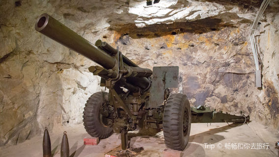 Lion Mountain Howitzer Park & Museum