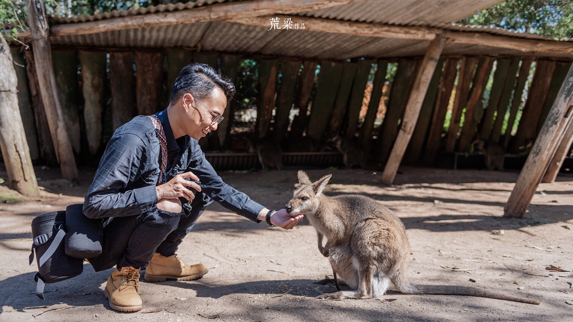 The Billabong Zoo is a well-known zoo near Port Macquarie on the Pacific Highway. It was founded in 1986 and is home to koalas. It also has kangaroos Kangaroo and Wallaby's loose gardens  slightly After I want to explain to you, in fact, kangaroos are not just a variety of Kangaroo. In 2003, two new owners came here. Under their care, the Pilab Zoo gradually became famous. The first was that it developed into the birth center of Koala, and the second was that it had many Australian and A special animal from a foreign country, the 40,000 square meter site has 80 species of more than 220 animals, plus it is rated as the most attractive attraction in the region every year, so it is a "star zoo" in New South Wales. ".