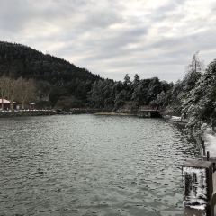 庐山得意庐酒楼 User Photo