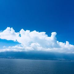 云中隐海景餐厅 User Photo