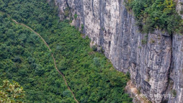天生三橋+仙女山國家森林公園一日遊【重慶出發,2-8人小團】
