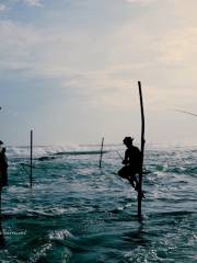 Stilt Fisherman