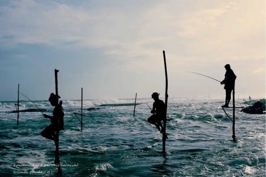 Stilt Fisherman