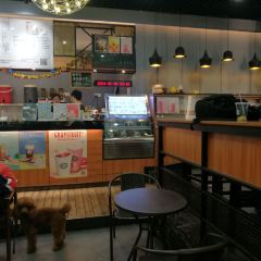 Zhishichayu CHEESE TEA (zhaoyangguangchang) User Photo
