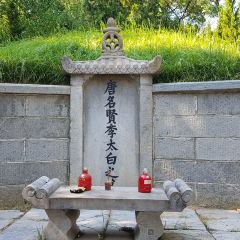 甑山生態園張用戶圖片