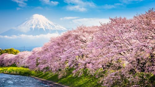 富士山