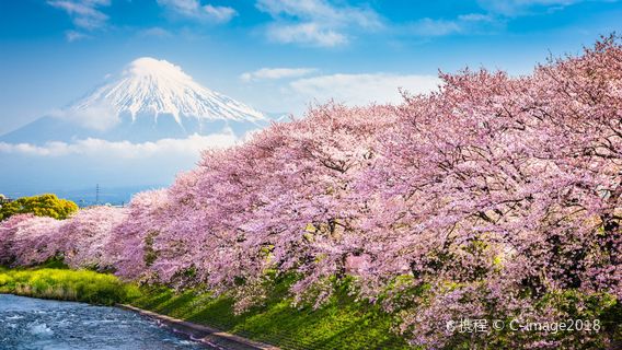 KyotoTravel Extras