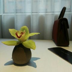 THE YIDAO RESTAURANT User Photo