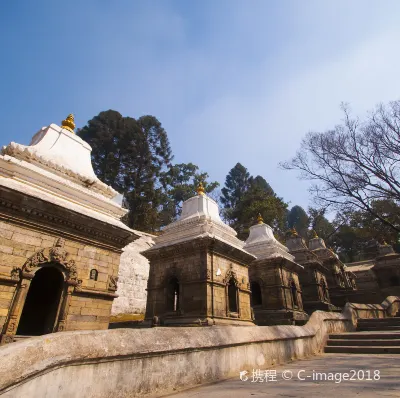 Lufthansa Flights to Bhairawa