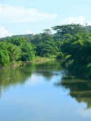 Kawa-kawa River Cruise