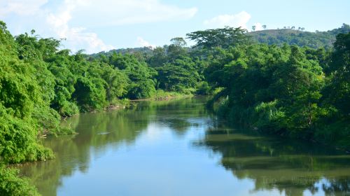 Kawa-kawa River Cruise