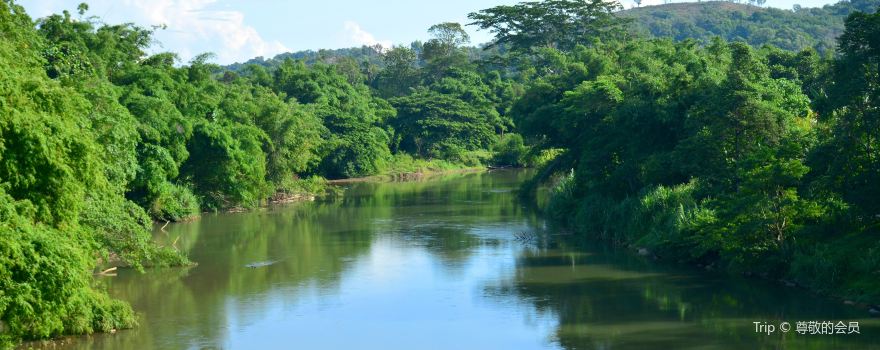Kawa-kawa river cruise