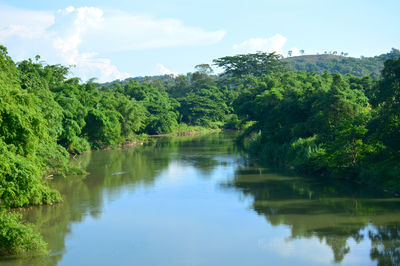 Kawa-kawa river cruise