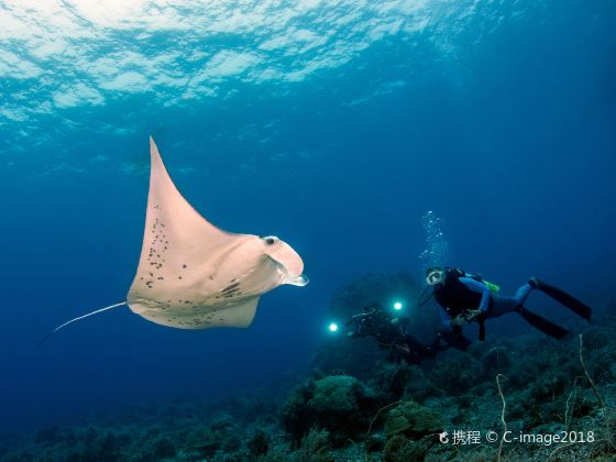 Tubbataha Reef