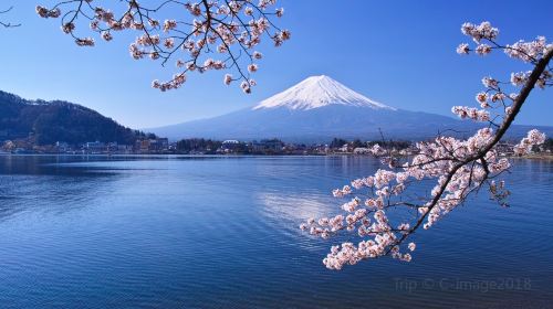 富士山