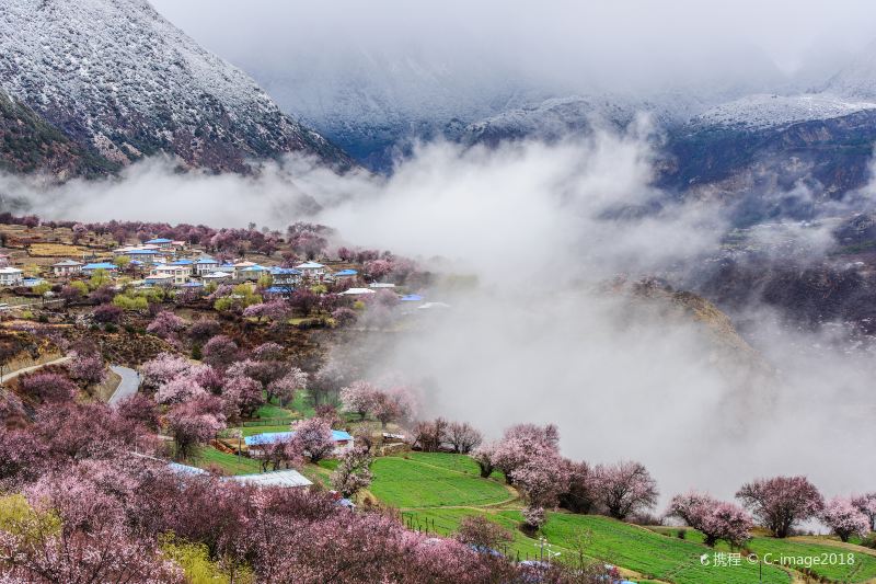 嘎拉桃花村