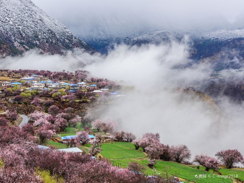 嘎拉桃花村