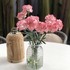 TING XIANG User Photo