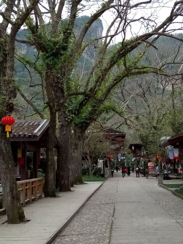 무이궁