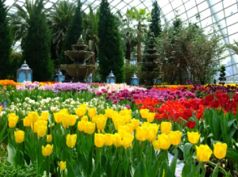 Top 10 Spring Outings in Singapore