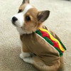 https://ak-d.tripcdn.com/images/100g11000000rgtwxA1CC.jpg