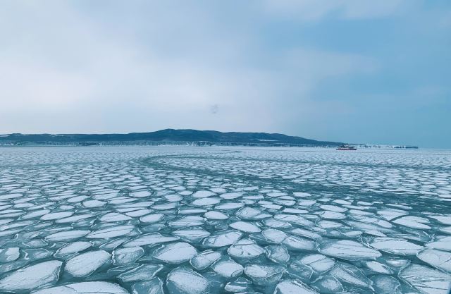 網走流冰觀光破冰船極光號