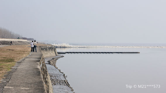 Fish Scale Stone Pond