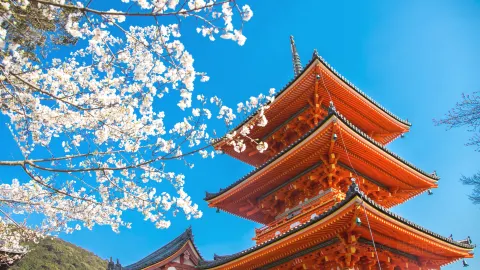 Kiyomizu-dera Temple attraction in Kyoto