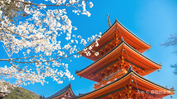 Kyoto