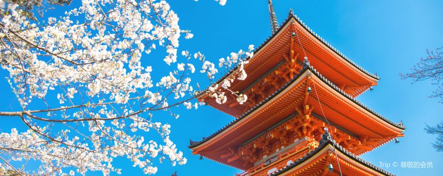 Kiyomizu-dera Temple
